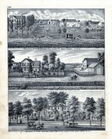 D.N. Busenbark, J.J. Darin, Jonas Erickson Residence, Munson, Phenix, Henry County 1875